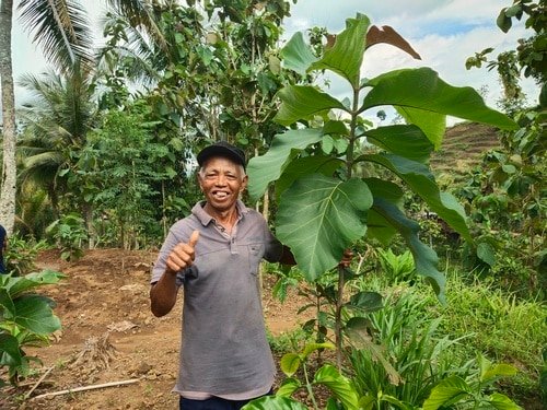 Community Forestry Projects