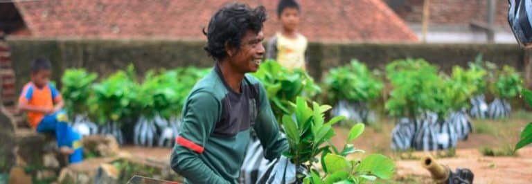 Here is the Importance of Tree Planting You Should Know