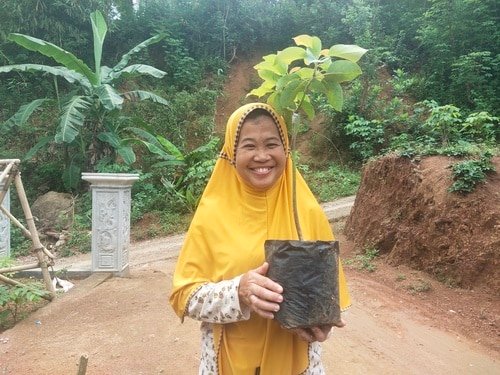 How the Community Forestry Project Works