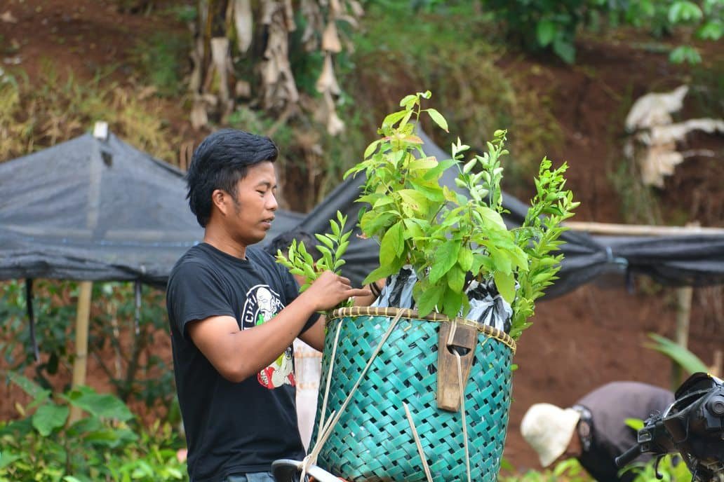 Things You Need to Know About Community Forestry