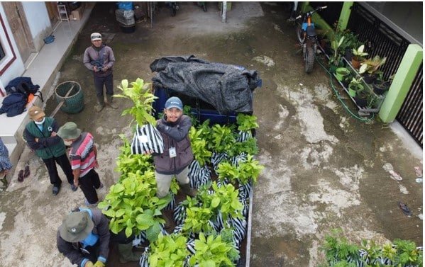 Trees4Trees Tree Planting Season 2022