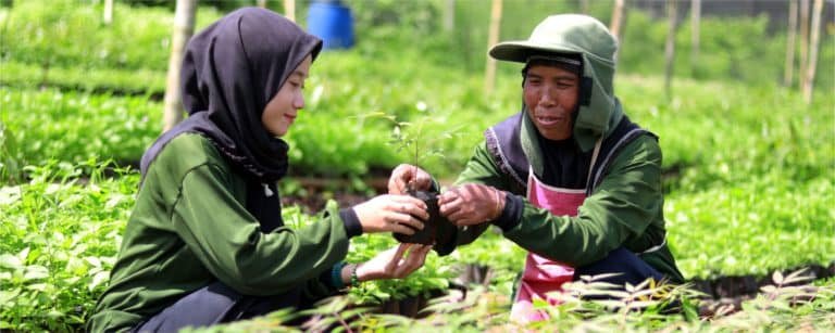 Give Trees as a Gift