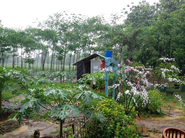 “Trendy and Engaging”: Yutaka Farm Makes Mangroves Fun