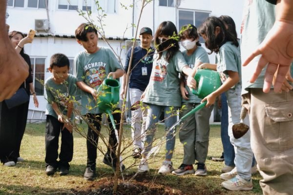 Nurturing the Next Generation: Trees4Trees School Visits