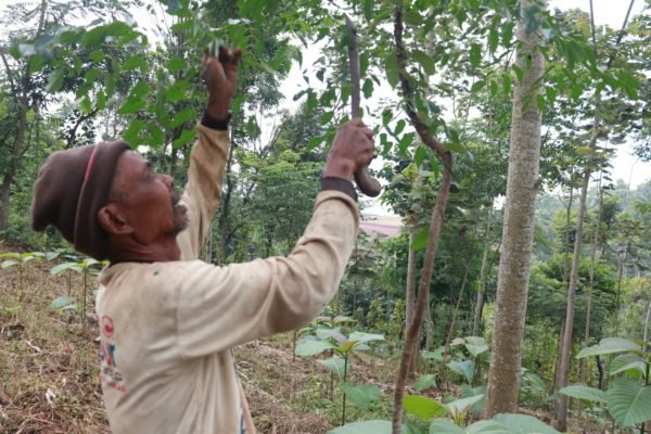 Sar'an: Preserving Land and Planting Trees around Citarum Watershed for Greater Benefits