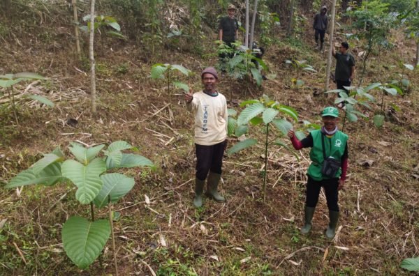 Preserving Land and Planting Trees around Citarum Watershed for Greater Benefits