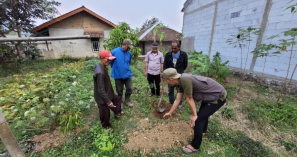 Planting consultation with Trees4trees Team