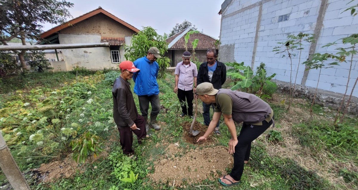 Planting consultation