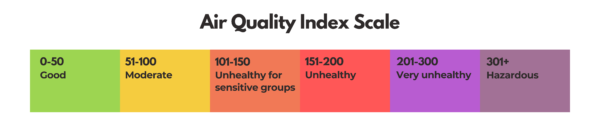 Planting Trees to Combat Jakarta Air Pollution