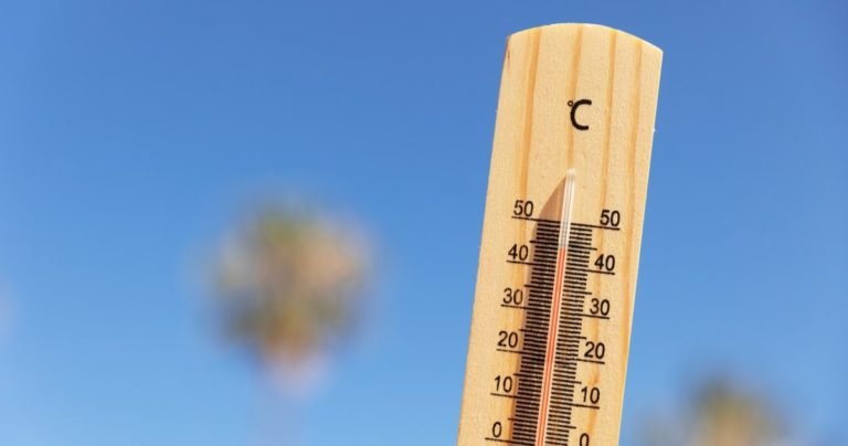 The Heat is On Finding Solutions to Rising Global Temperatures_trees4trees