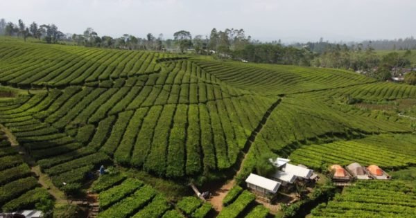 Cibolang Hotpsring Pengalengan