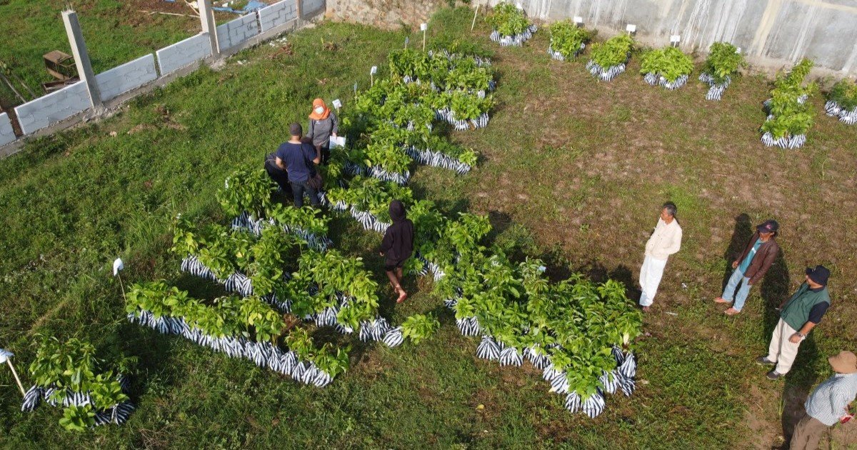 Trees4Trees’ Planting Season 2023-2024
