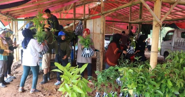 Distribution activity in West Java