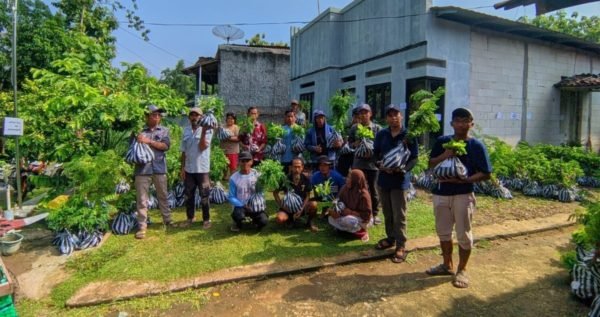 Distribution process