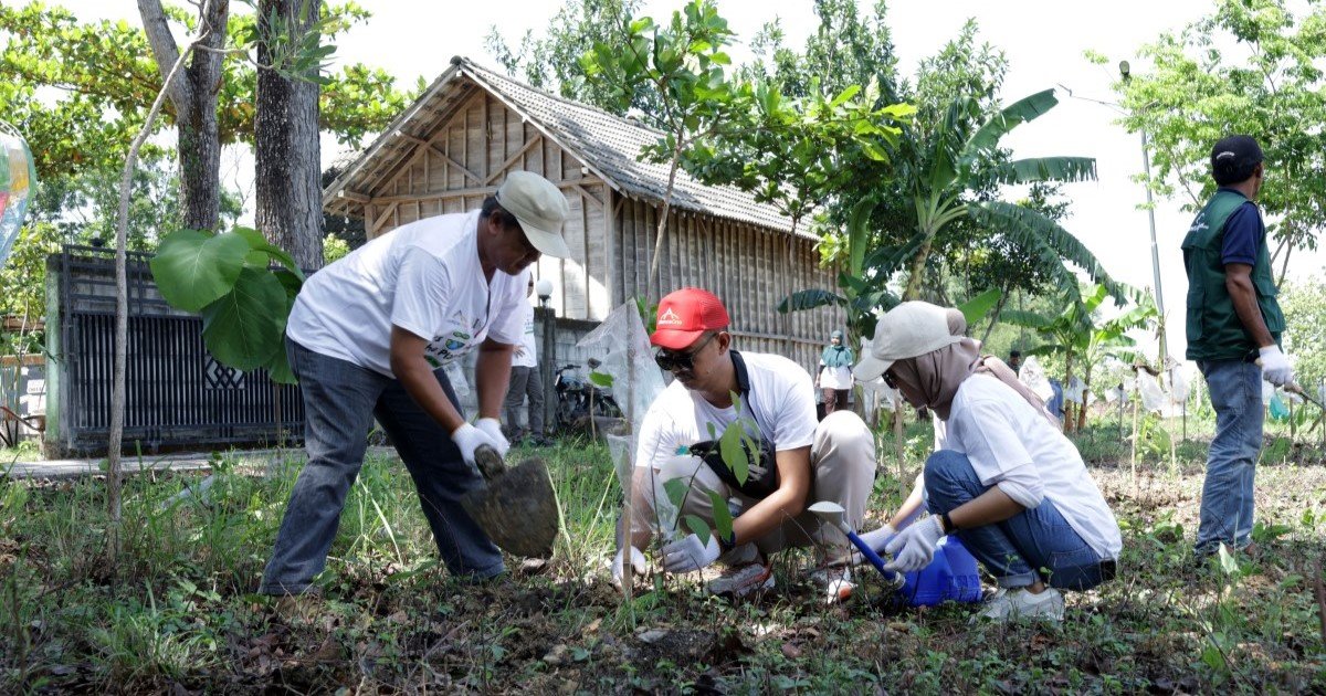 Tree planting in Bojonegoro