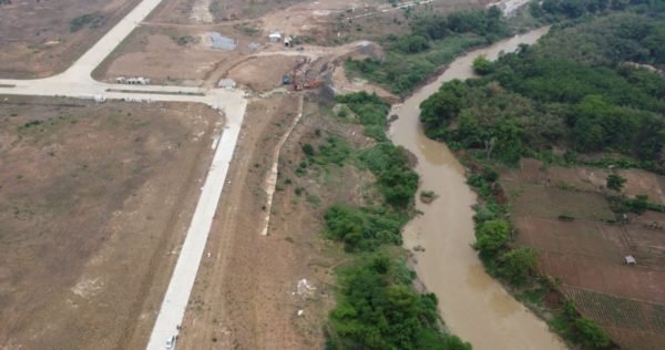 Microsoft tree-planting