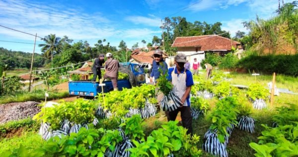 Activity hightlights; farmers