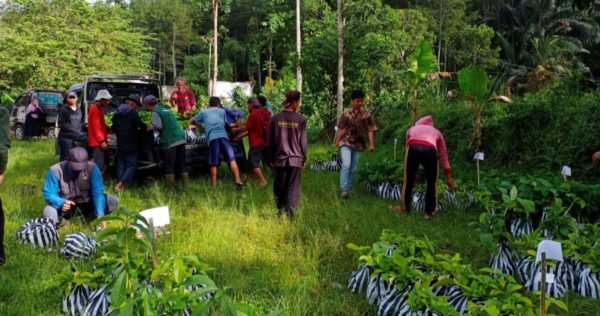 Distribution process