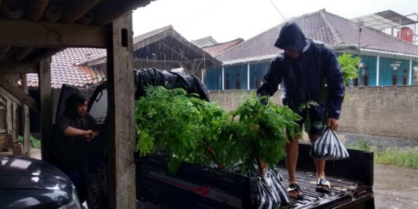 farmer and tree seedling