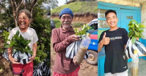 Activity hightlights; distribution process