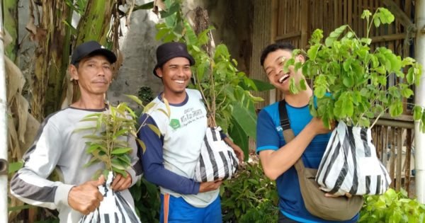 Expanding Green Spaces: Urban Forestry