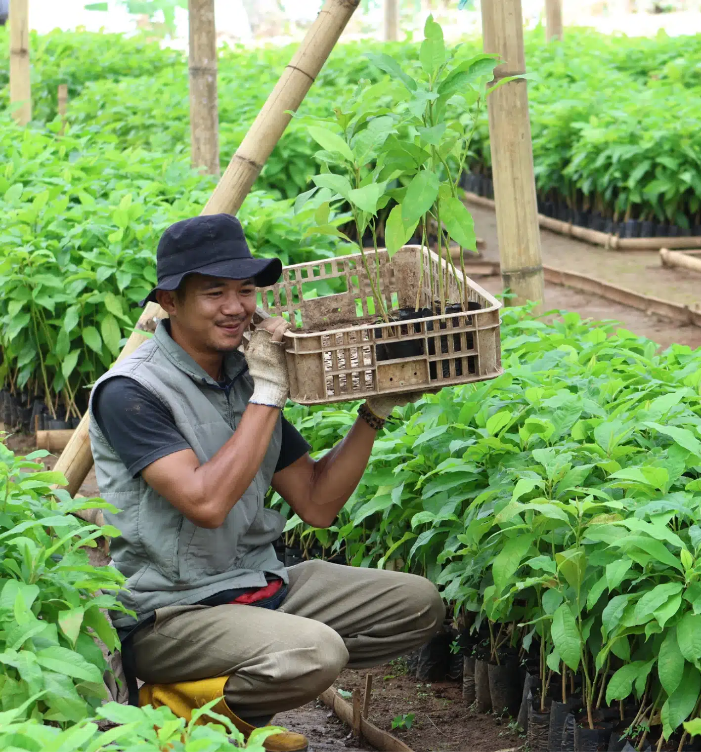 Lorem Ipsum lorem ipsum