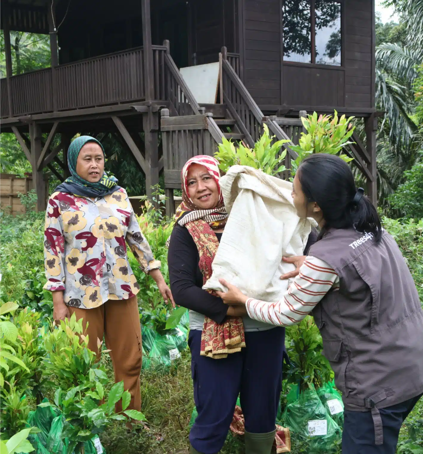 lorem ipsum lorem ipsum