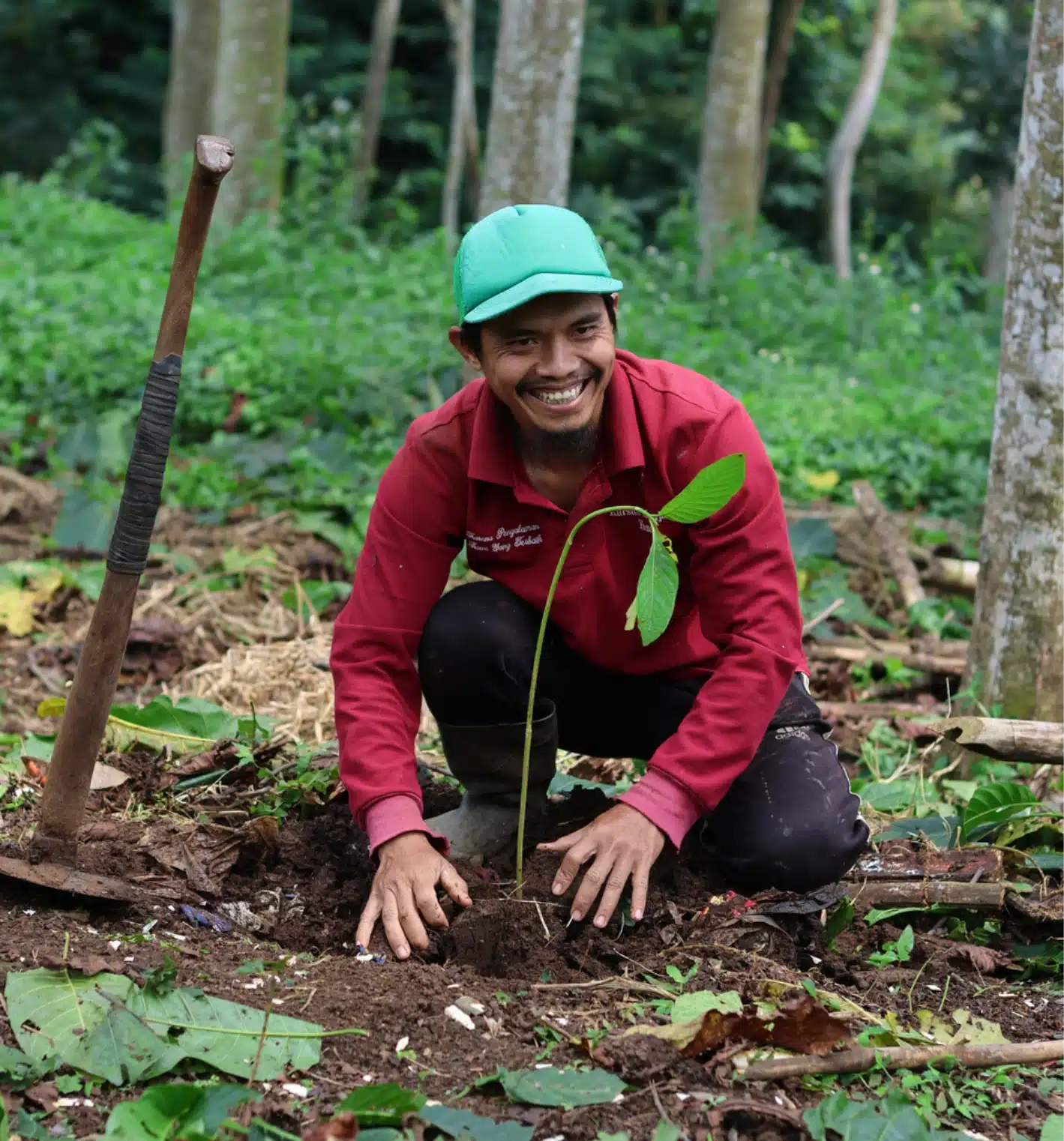 lorem ipsum lorem ipsum