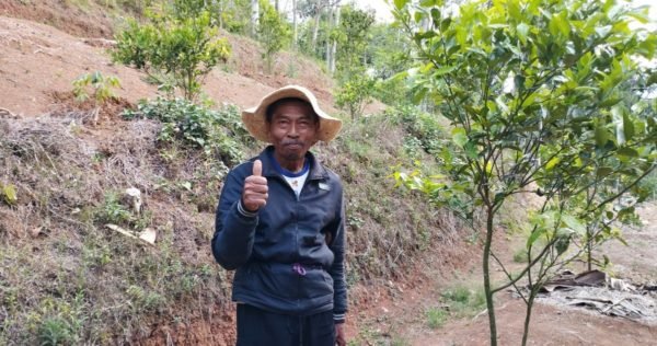 Petani farmer Trees4Trees