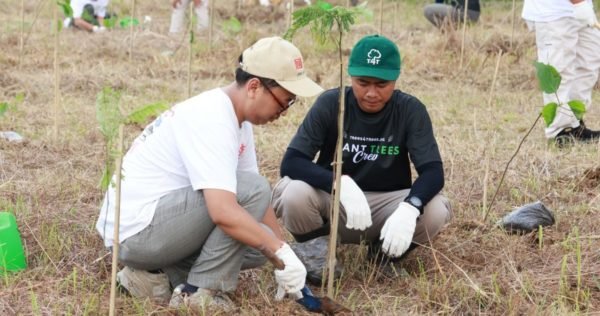 Balancing Industrial Growth with Urban Forest Planting