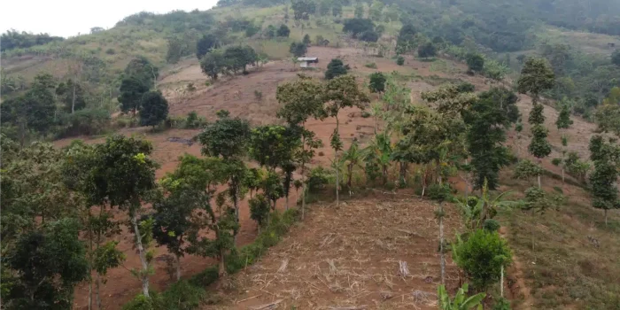 Project Mainpage_Citarik