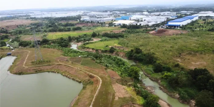 Project Mainpage_Urban Forest