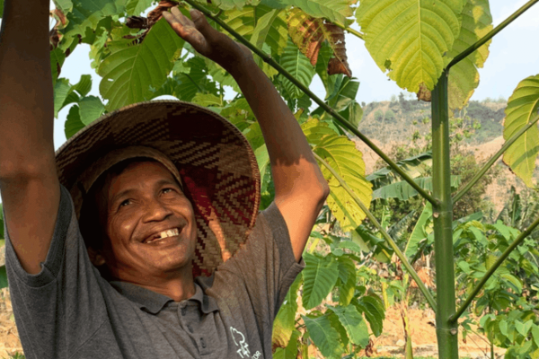 Trees4Change_image_1 (1)