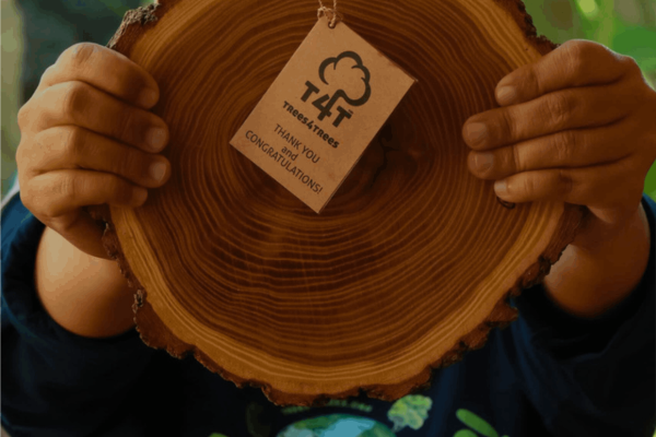 Trees4Change_image_3 (1)