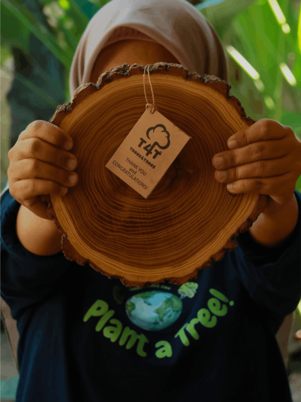 Trees4Change_image_3 (1)